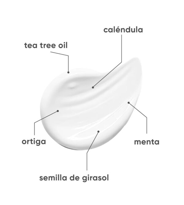 Shampoo Dermocapilar Cabello Graso